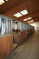 Reitanlage, Oesterreich, Oesterreich